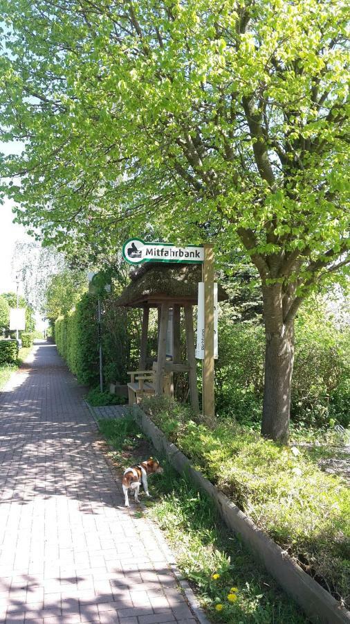 Natur Lodge Haffblick Westerholz 외부 사진